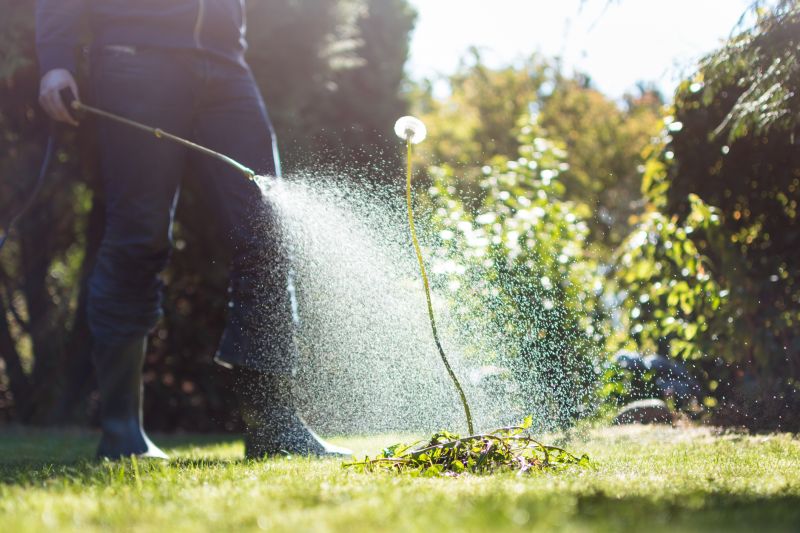 Lawn Herbicide Treatment in Ventura County, CA