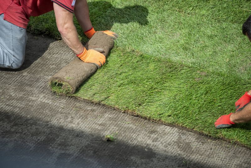 Lawn Topdressing in Ventura County, CA