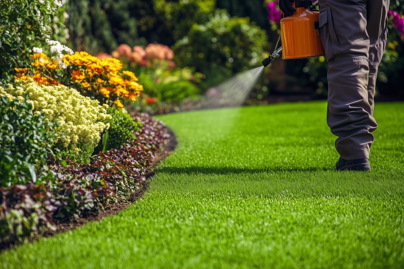 Yard Improvement Service in Ventura County, CA
