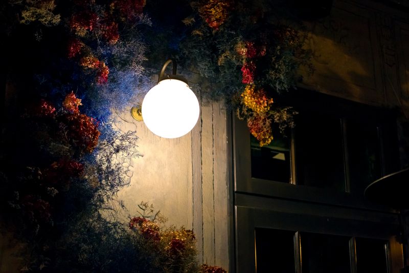 Courtyard Light Installation in Honolulu, HI