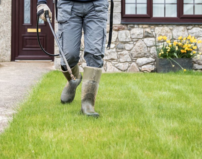 Lawn Moss Control detail