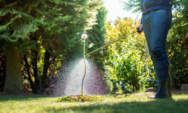 Lawn Herbicide Treatment