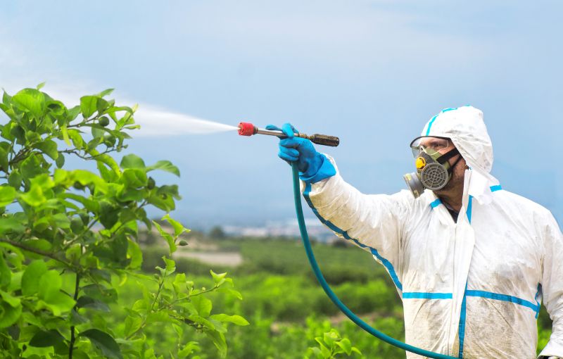Lawn Herbicide Treatment in Honolulu, HI