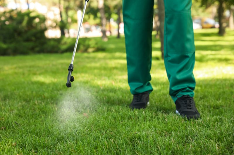 Lawn Moss Control in Honolulu, HI