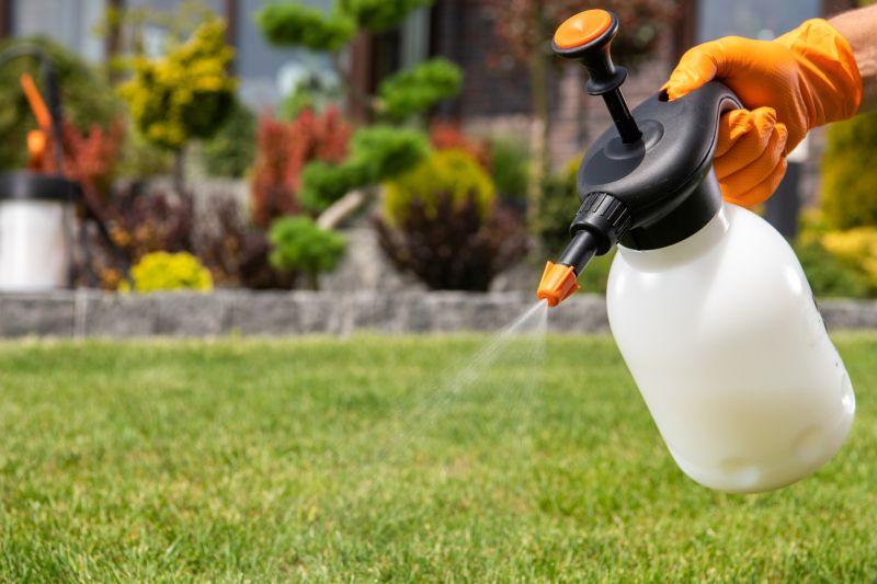 Lawn Moss Control in Ventura County, CA