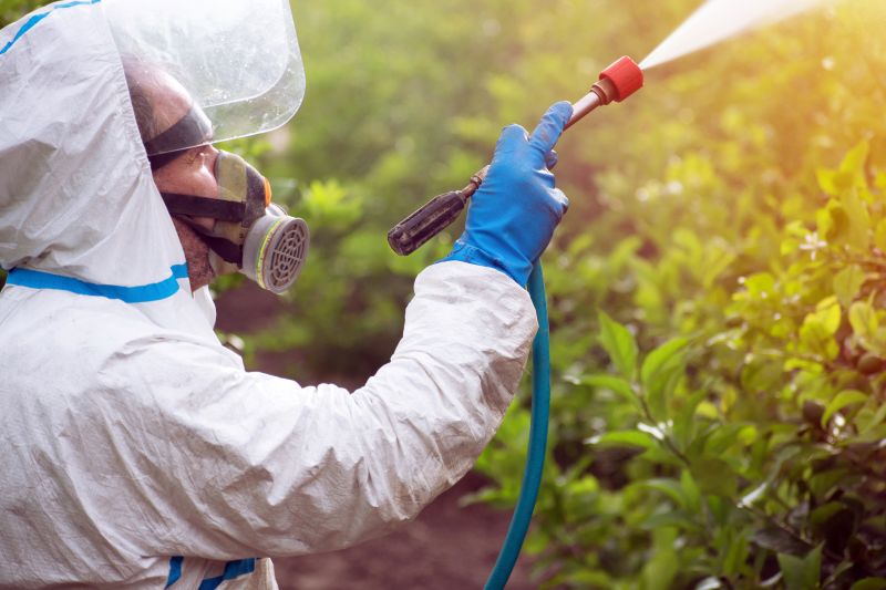 Lawn Weed Spraying in Ventura County, CA