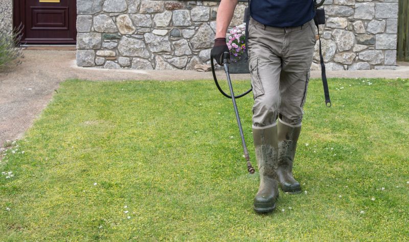 Lawn Weed Treatment in Rockwall, TX