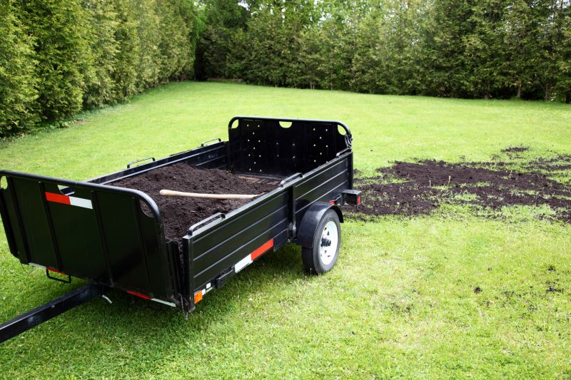 Mushroom Removal Service in Ventura County, CA