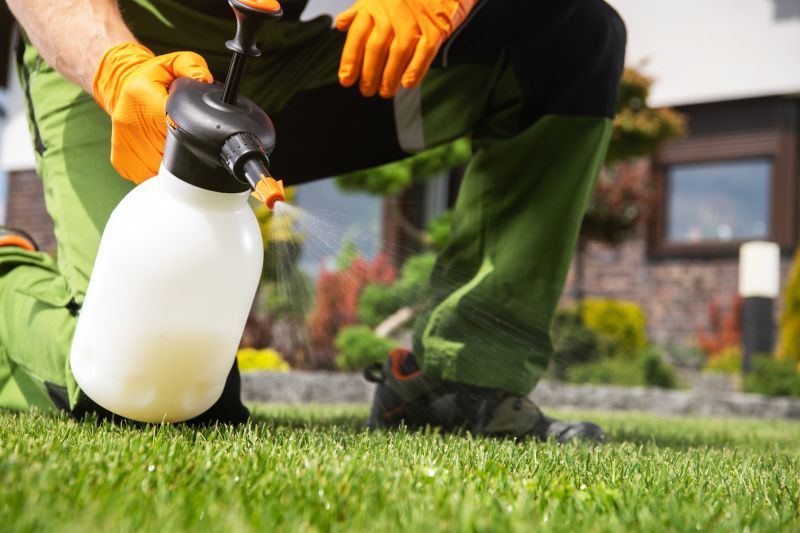 Mushroom Removal Service in Honolulu, HI