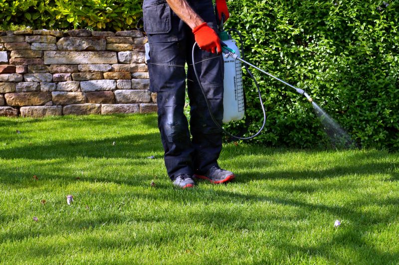 Pampas Grass Control in Ventura County, CA