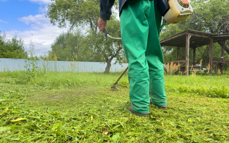 Weed Control Service in Honolulu, HI